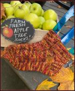 Apple Tree Socks Pattern